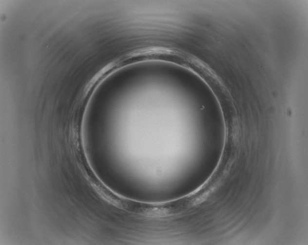 X0000080201321200612081417