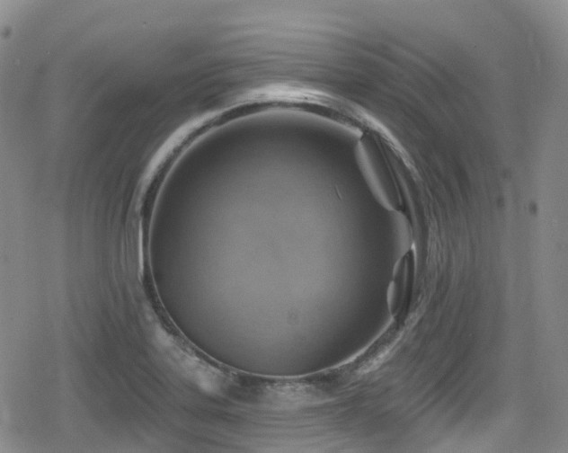 X0000080201323200612081417