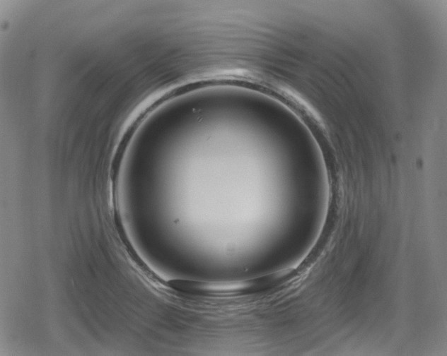 X0000080201324200612081417