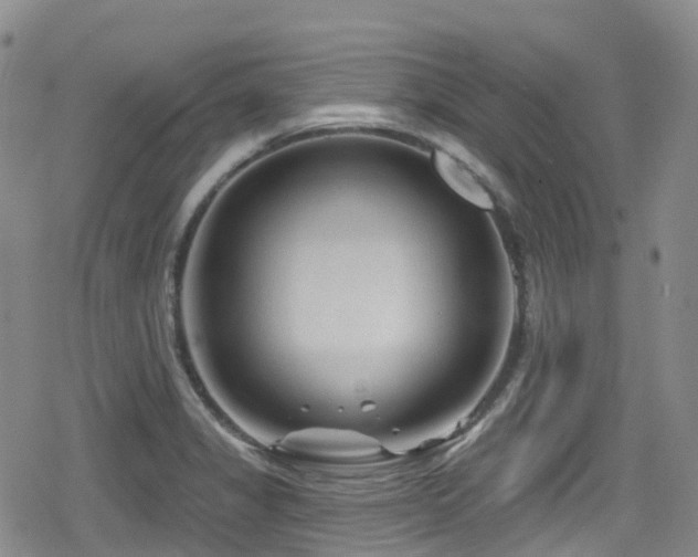 X0000080201325200612081417