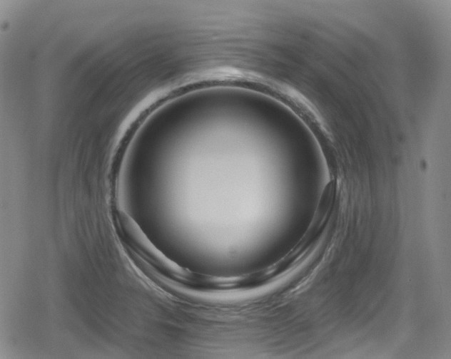 X0000080201326200612081417