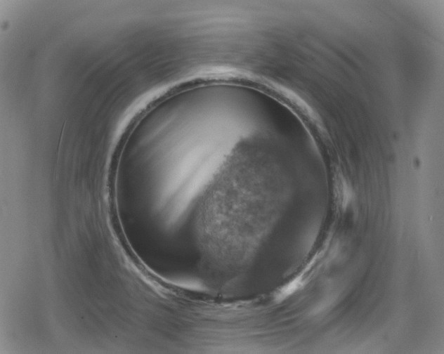 X0000080201327200612081417