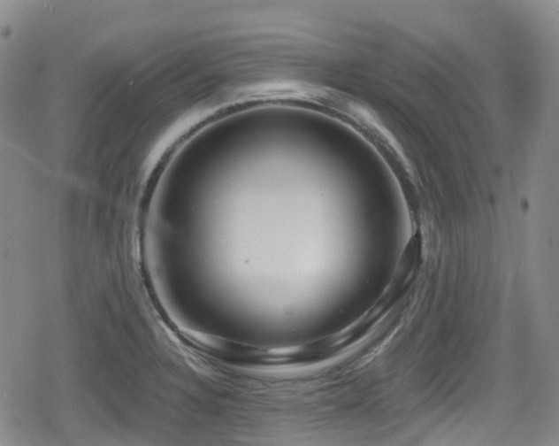 X0000080201328200612081417