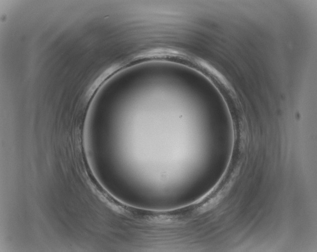 X0000080201329200612081417