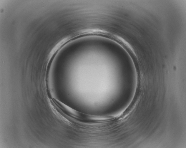 X0000080201330200612081417