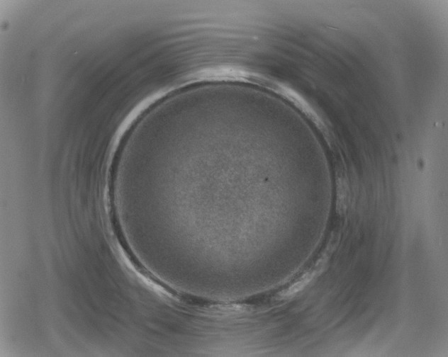 X0000080201331200612081417