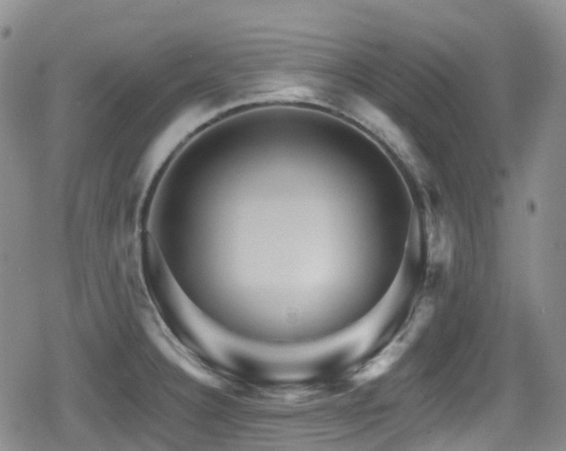 X0000080201332200612081417