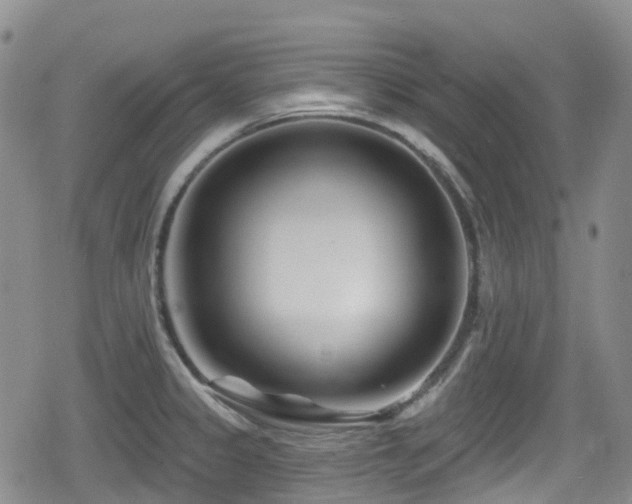 X0000080201333200612081418