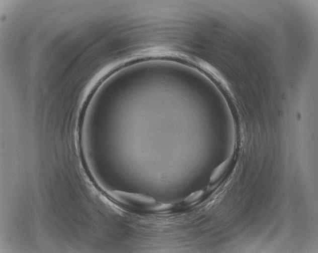 X0000080201334200612081418