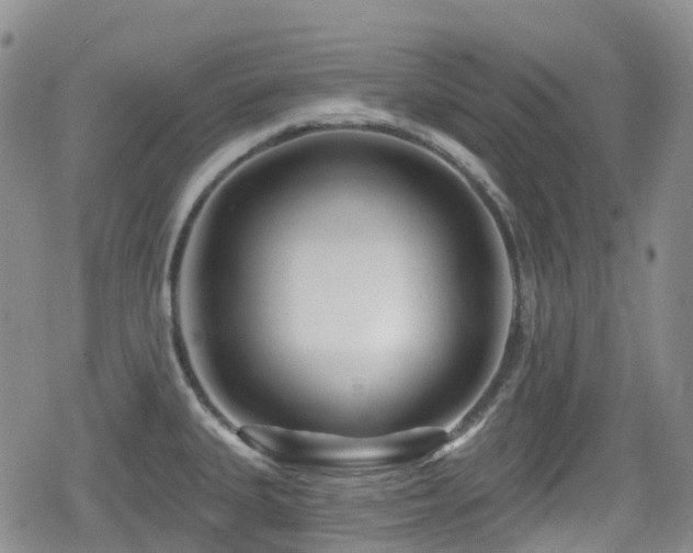 X0000080201335200612081418