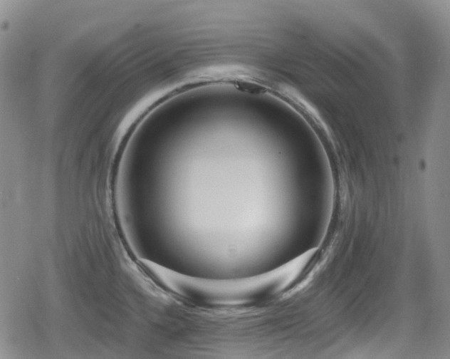 X0000080201336200612081418