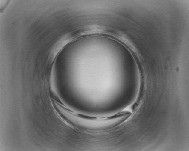 X0000080201337200612081418