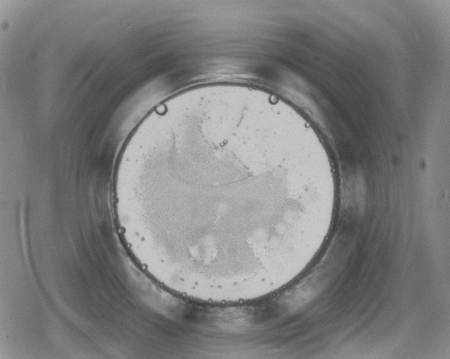 X0000080201338200612081418