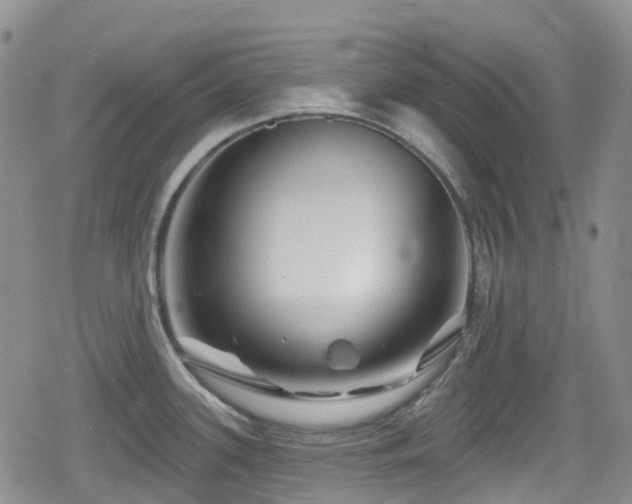 X0000080201339200612081418