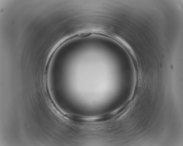 X0000080201340200612081418