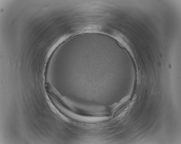 X0000080201341200612081418