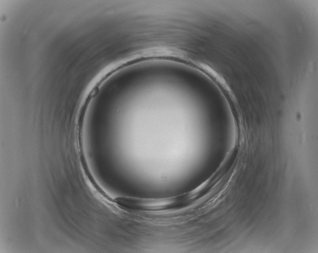 X0000080201342200612081418