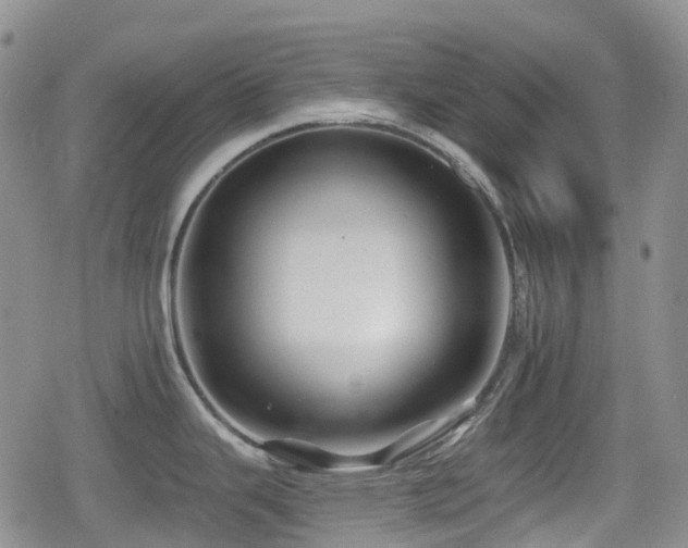 X0000080201343200612081418