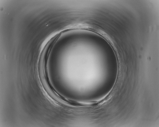 X0000080201344200612081418