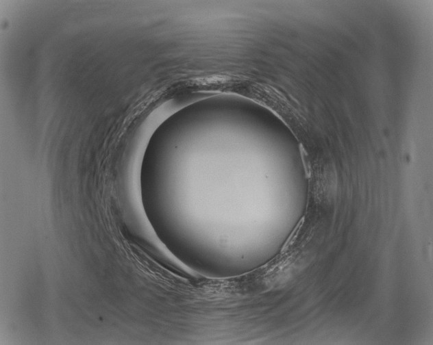 X0000080201345200612081417