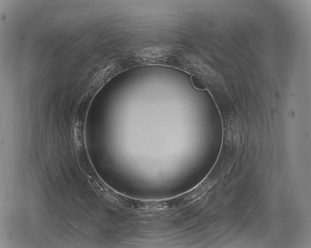 X0000080201346200612081417