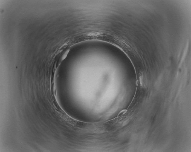 X0000080201347200612081417