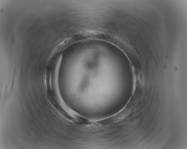 X0000080201348200612081417