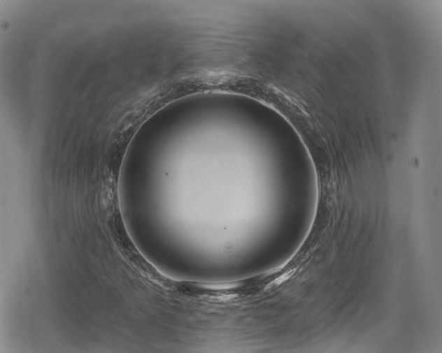 X0000080201349200612081417