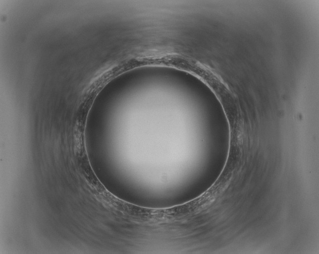 X0000080201350200612081417