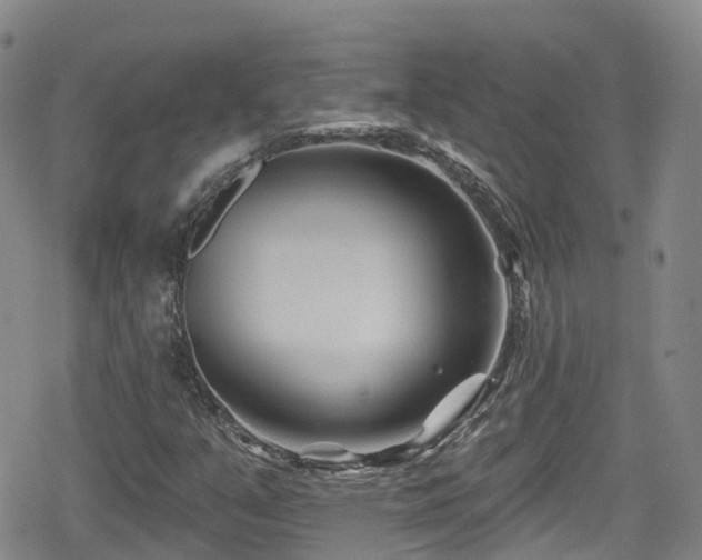 X0000080201351200612081417