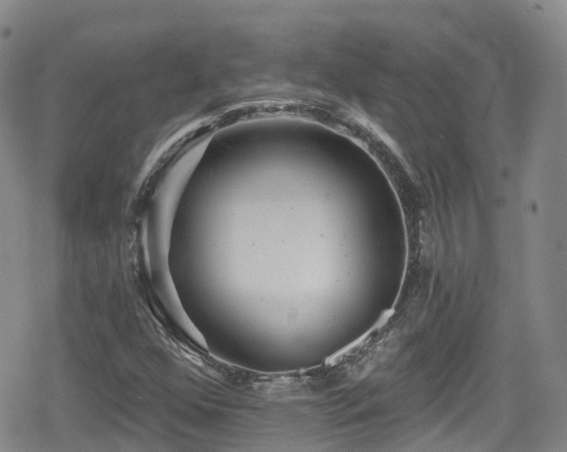 X0000080201352200612081417