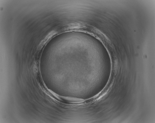 X0000080201353200612081417