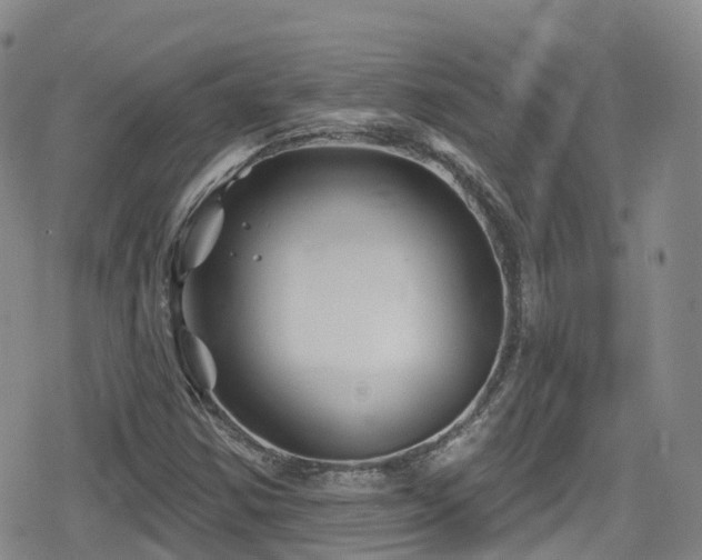 X0000080201354200612081417