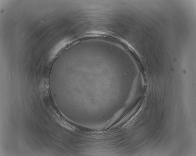 X0000080201355200612081417