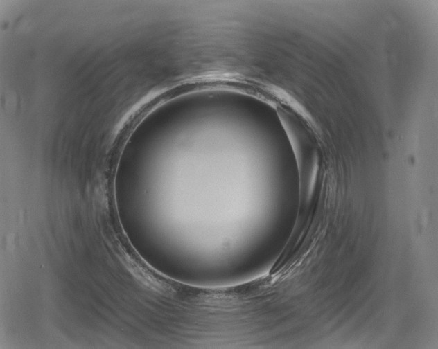 X0000080201356200612081417