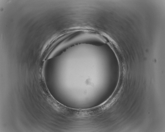 X0000080201357200612081417