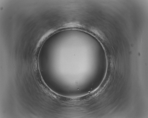 X0000080201358200612081417