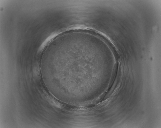 X0000080201359200612081417