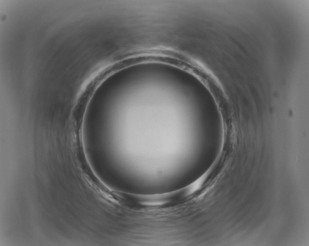 X0000080201360200612081417