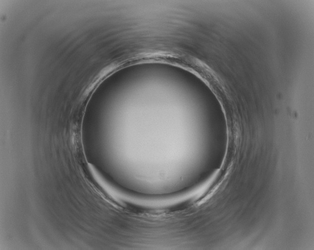 X0000080201361200612081417