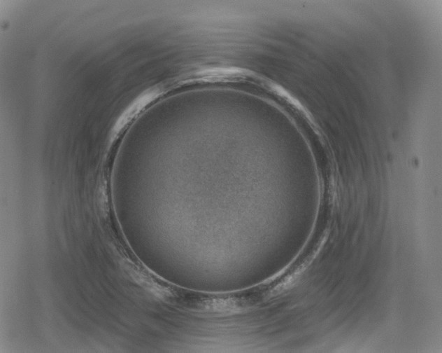 X0000080201362200612081417