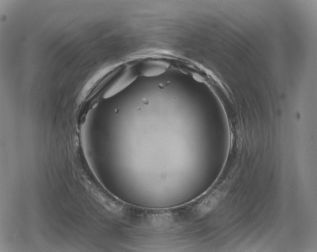 X0000080201363200612081417