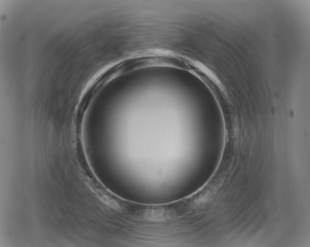 X0000080201364200612081417