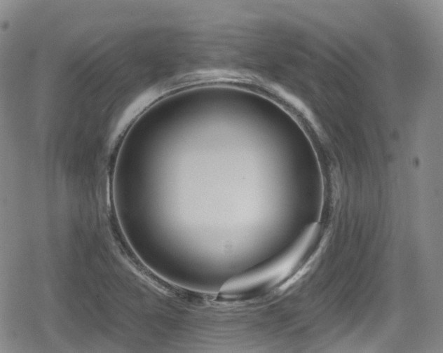 X0000080201365200612081417