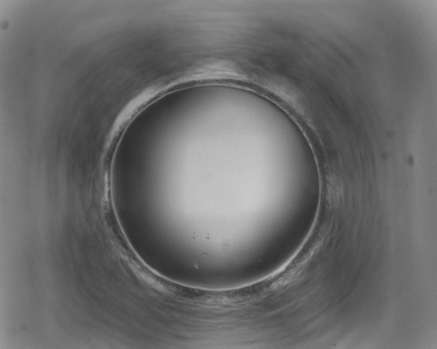 X0000080201366200612081417