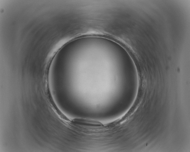 X0000080201367200612081417