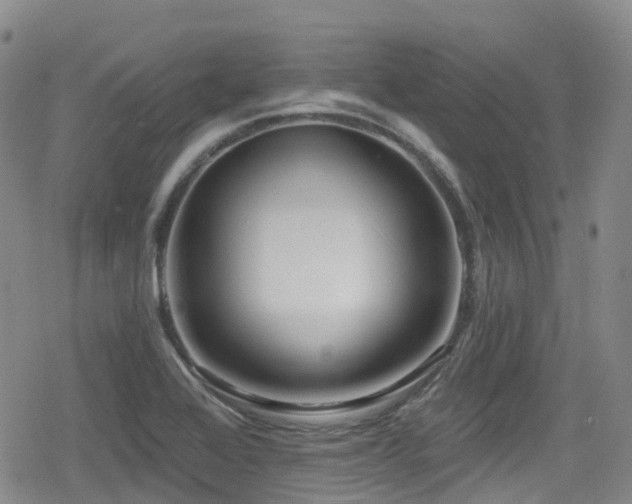 X0000080201368200612081417