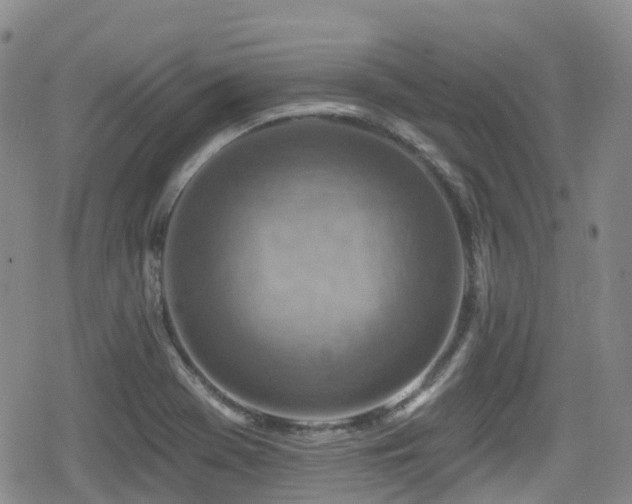 X0000080201369200612081417