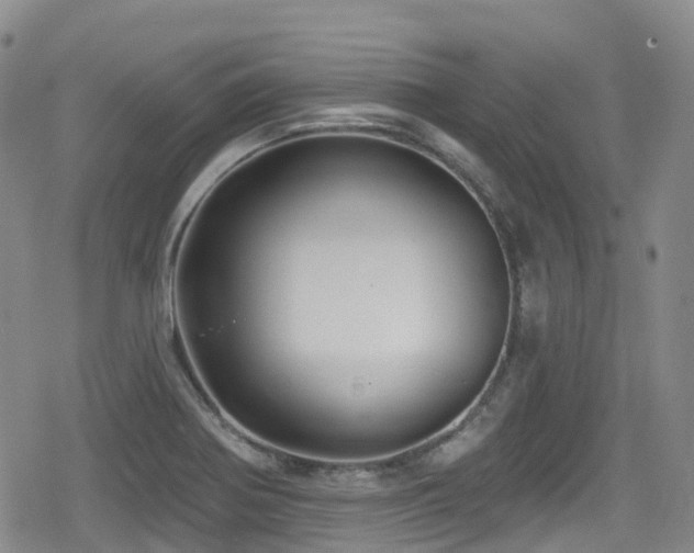 X0000080201370200612081417