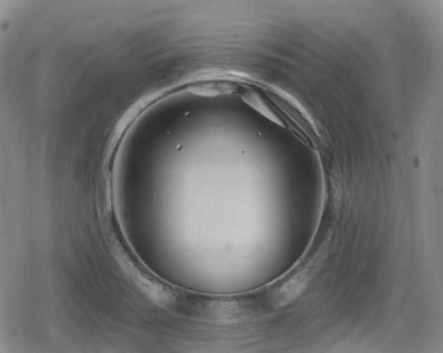 X0000080201371200612081416